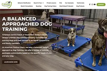 Dog Training Site
