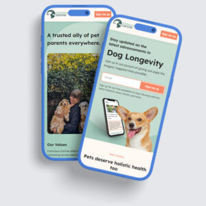 Mobile web design