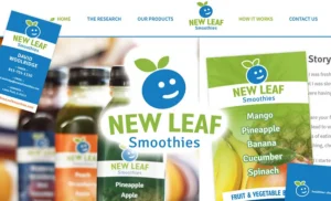 Smoothie company branding