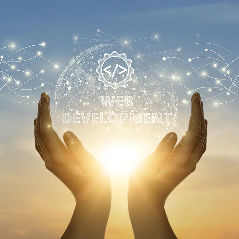 Custom web development illustration